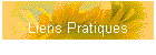 Liens Pratiques